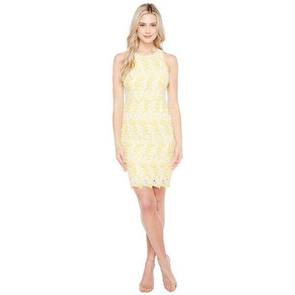 Maggy London Yellow Star Flower Lace Scalloped Sheath Dress Size 6 Petite - Picture 1 of 8